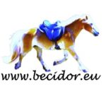 Logo-combi-Becidor-Barebackpad-Specialist